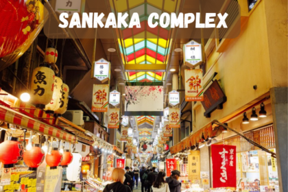 The Sankaka Complex: Your Ultimate Gateway!