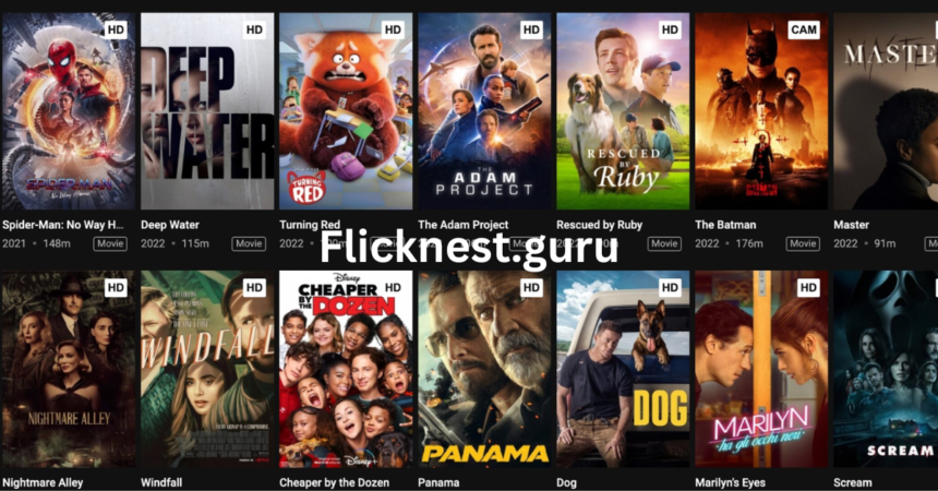 Flicknest.guru: A Streaming Experience Like No Other